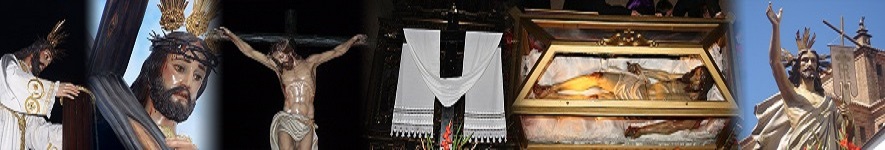 banner.jpg
